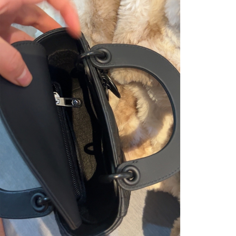 Fit For Lady Dio R Bag Organiz - Women Bags Dior 评论和价格
